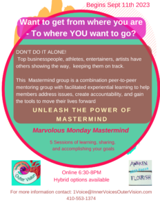 Mastermind, facilitated accountability, success training